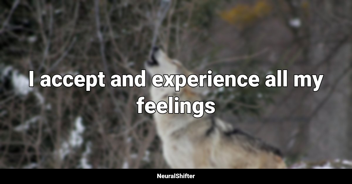 I accept and experience all my feelings