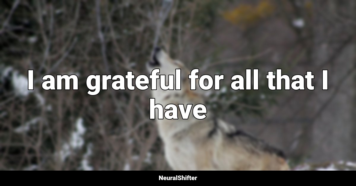 I am grateful for all that I have