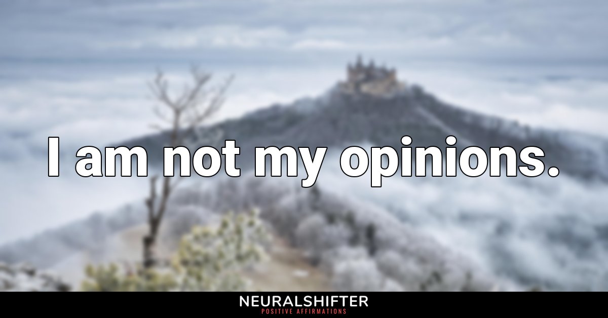 I am not my opinions.