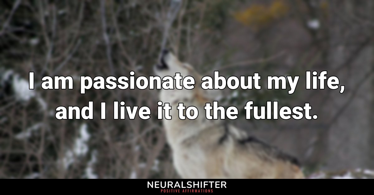 I am passionate about my life, and I live it to the fullest.