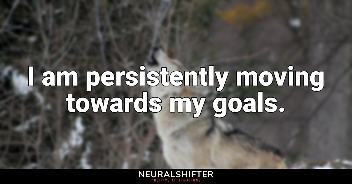 I am persistently moving towards my goals.