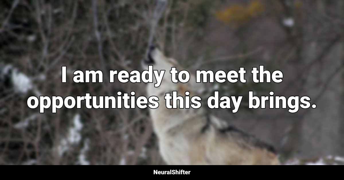 I am ready to meet the opportunities this day brings.