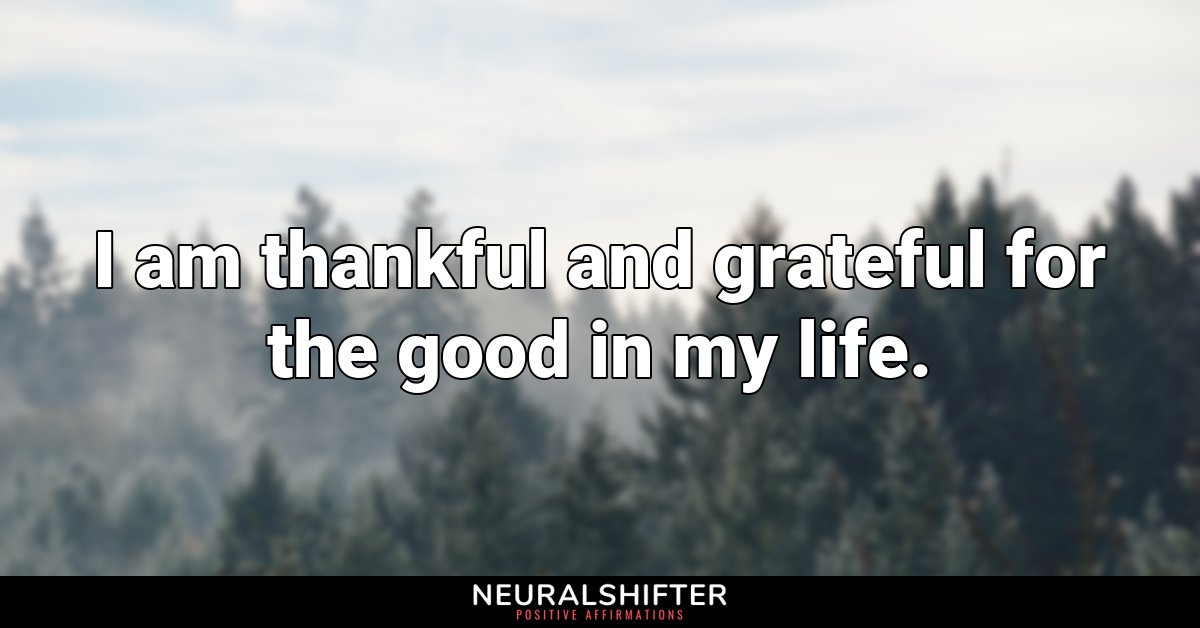 I am thankful and grateful for the good in my life.
