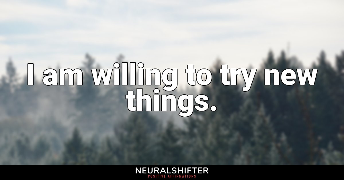 I am willing to try new things.