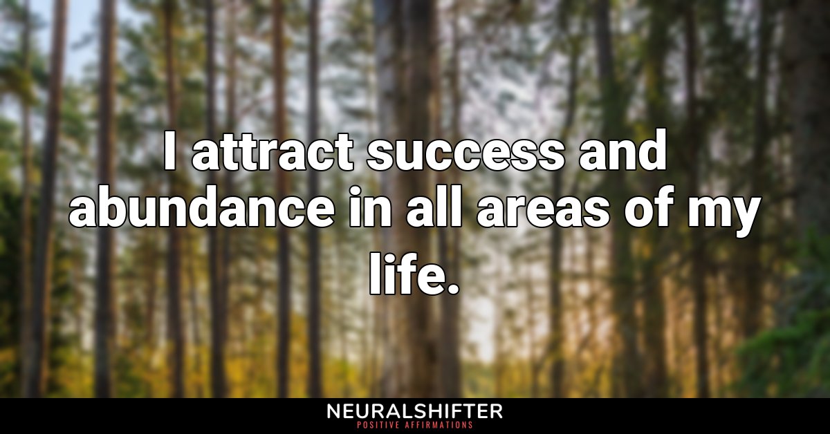 I attract success and abundance in all areas of my life.