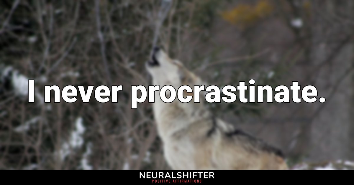 I never procrastinate.