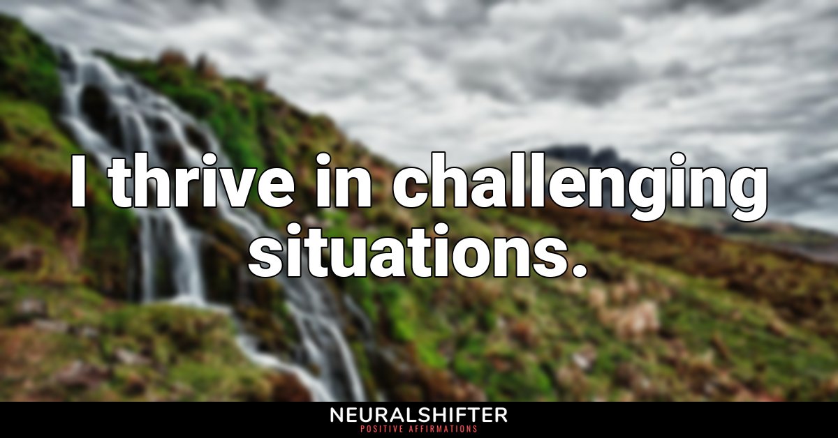 I thrive in challenging situations.