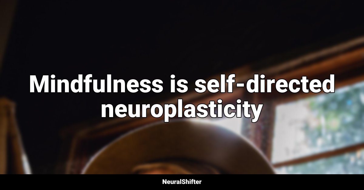 Mindfulness is self-directed neuroplasticity