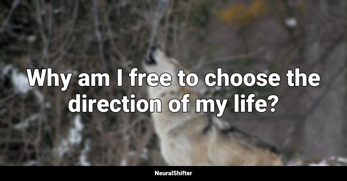 Why am I free to choose the direction of my life?