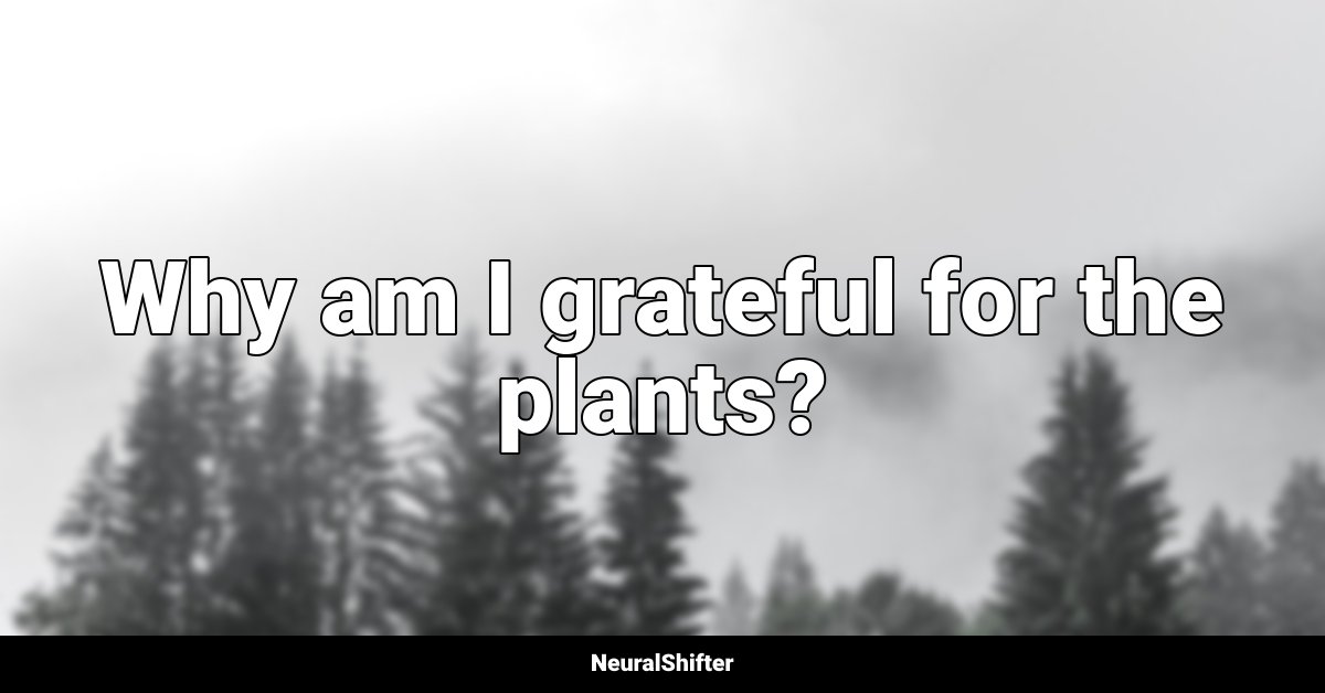 Why am I grateful for the plants?