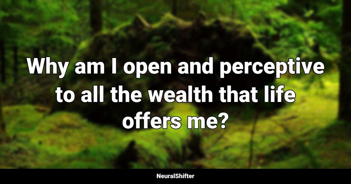 Why am I open and perceptive to all the wealth that life offers me?