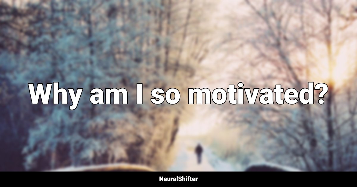 Why am I so motivated?