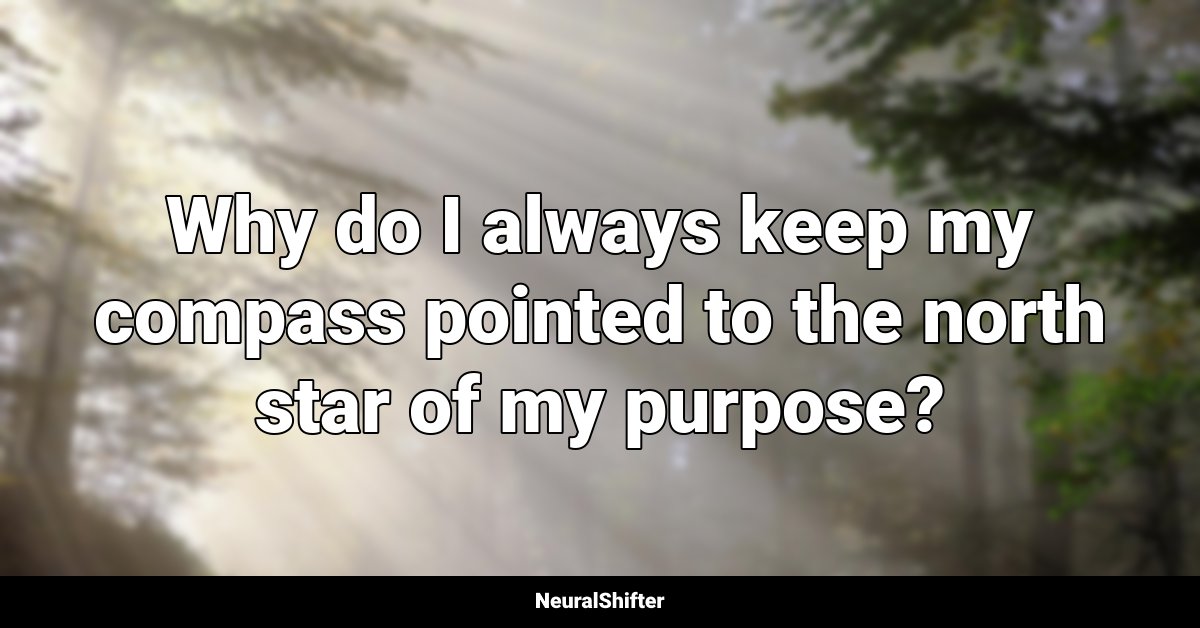 Why do I always keep my compass pointed to the north star of my purpose?