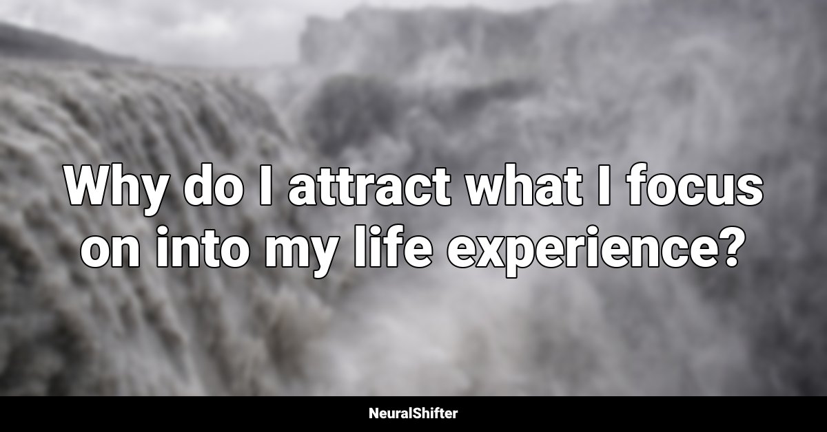 Why do I attract what I focus on into my life experience?