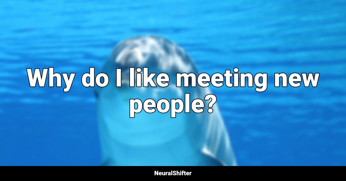 Why do I like meeting new people?