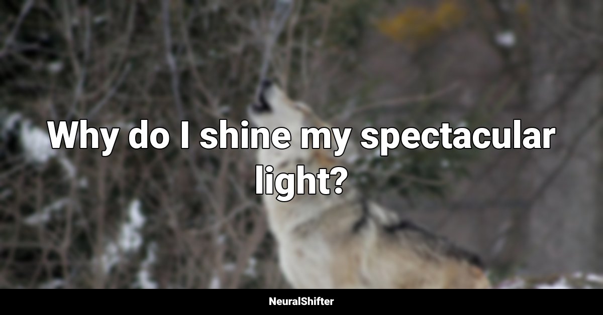 Why do I shine my spectacular light?