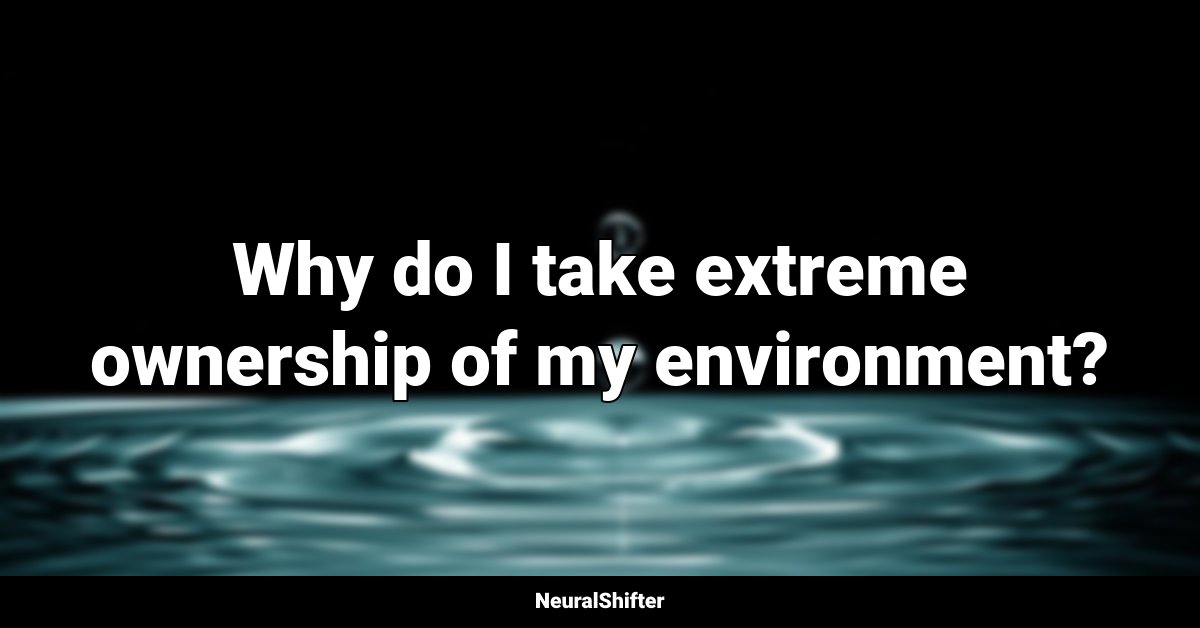 Why do I take extreme ownership of my environment?