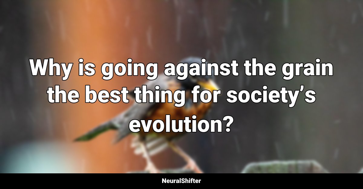 Why is going against the grain the best thing for society’s evolution?