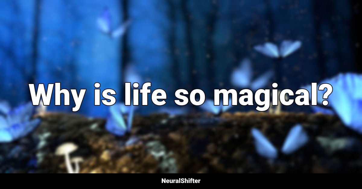 Why is life so magical?