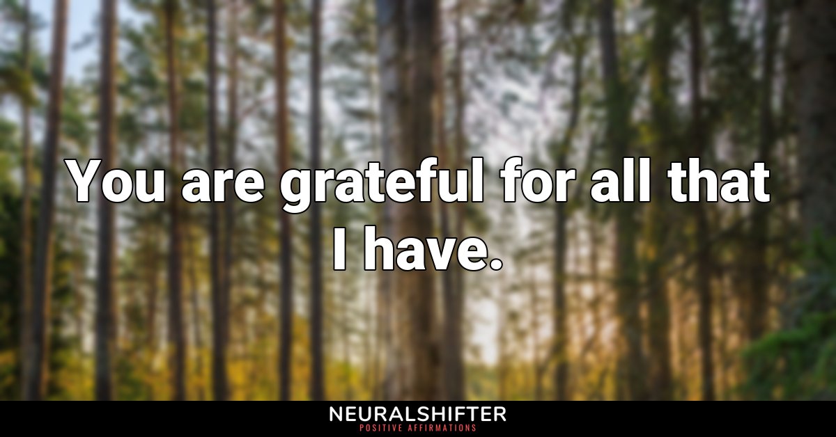 You are grateful for all that I have.