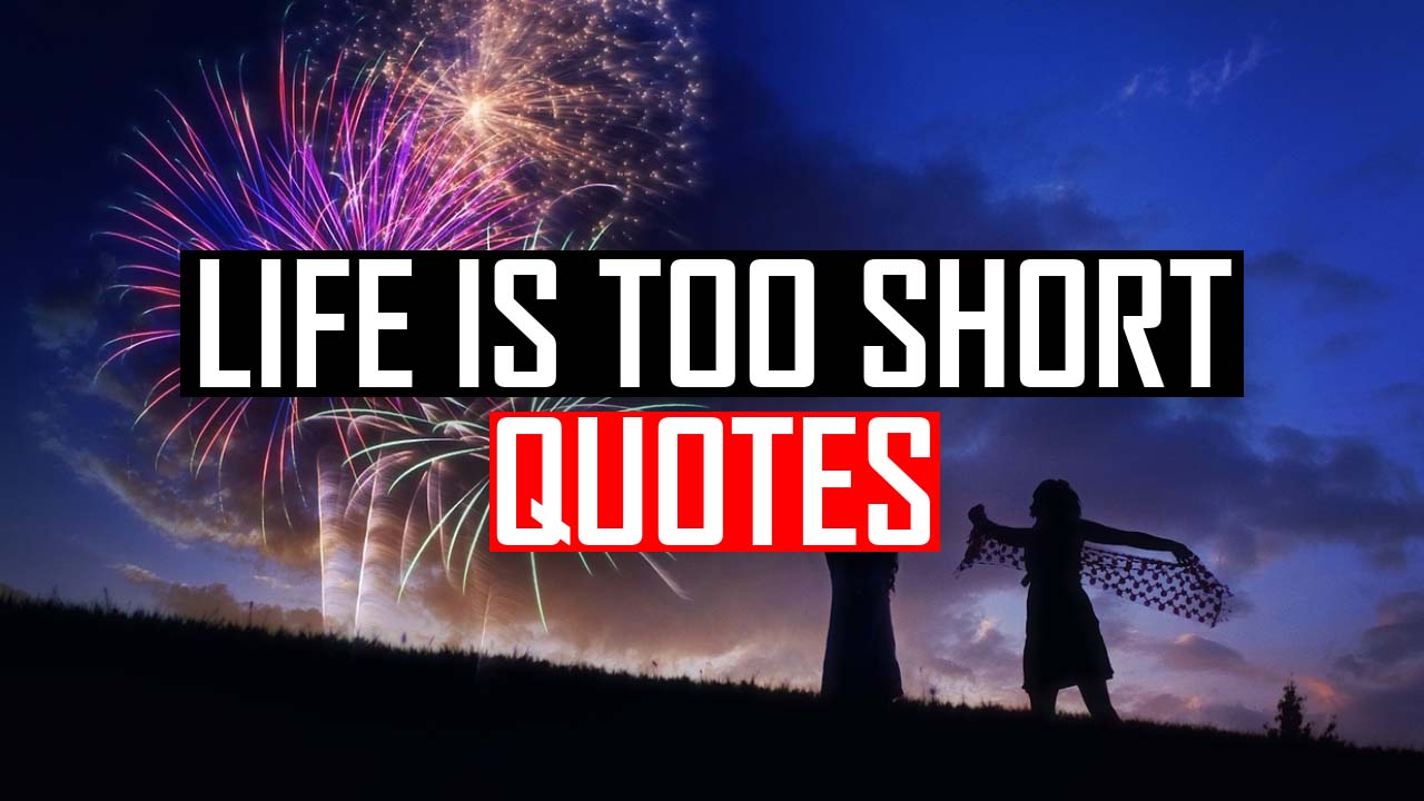 funny life is short quotes